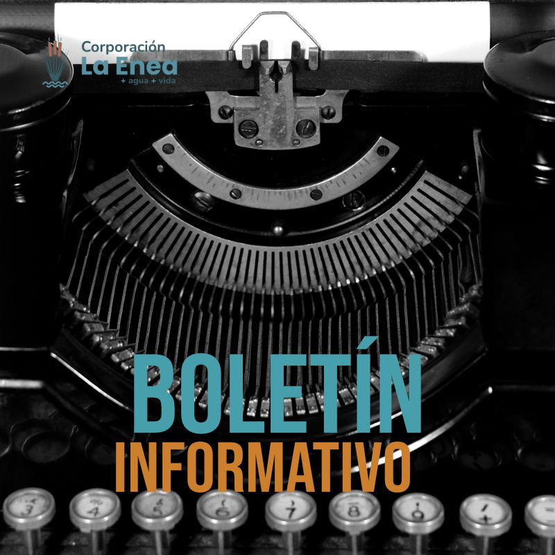 Boletín informativo